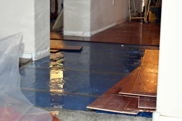 Professional Emergency Water Damage Restoration technician working in Hobart, WA